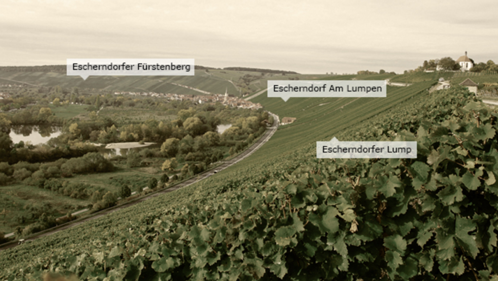 A Silvaner special: Horst Sauer masterclass