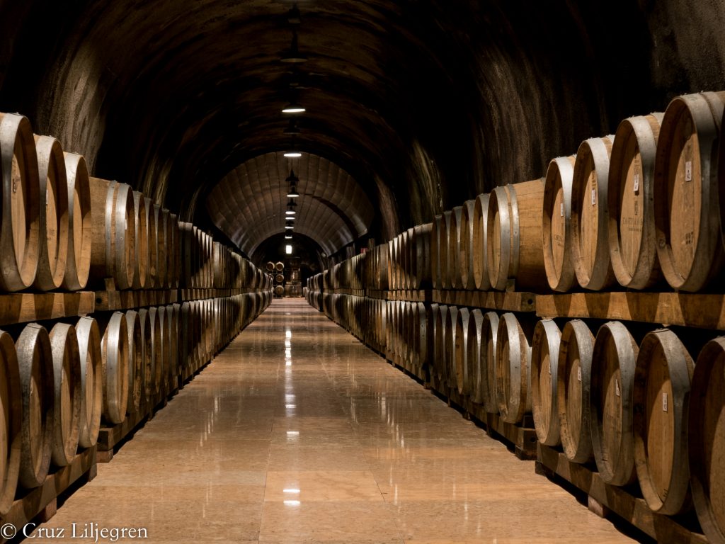 A visit to Soave: CWW Veneto Trip, Part 2