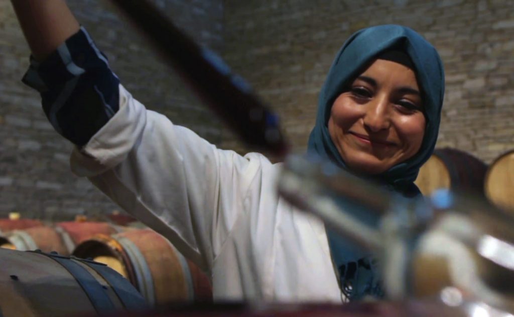 Tunisia – A generous terroir