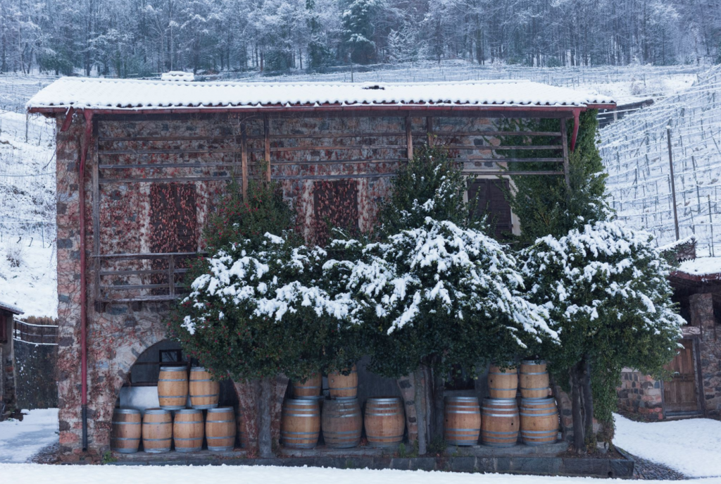 Wine tasting in Switzerland: CWW Swiss Trip, Part 2