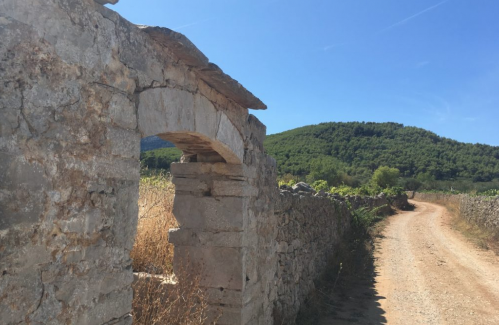 Taking in the Stari Grad Plain