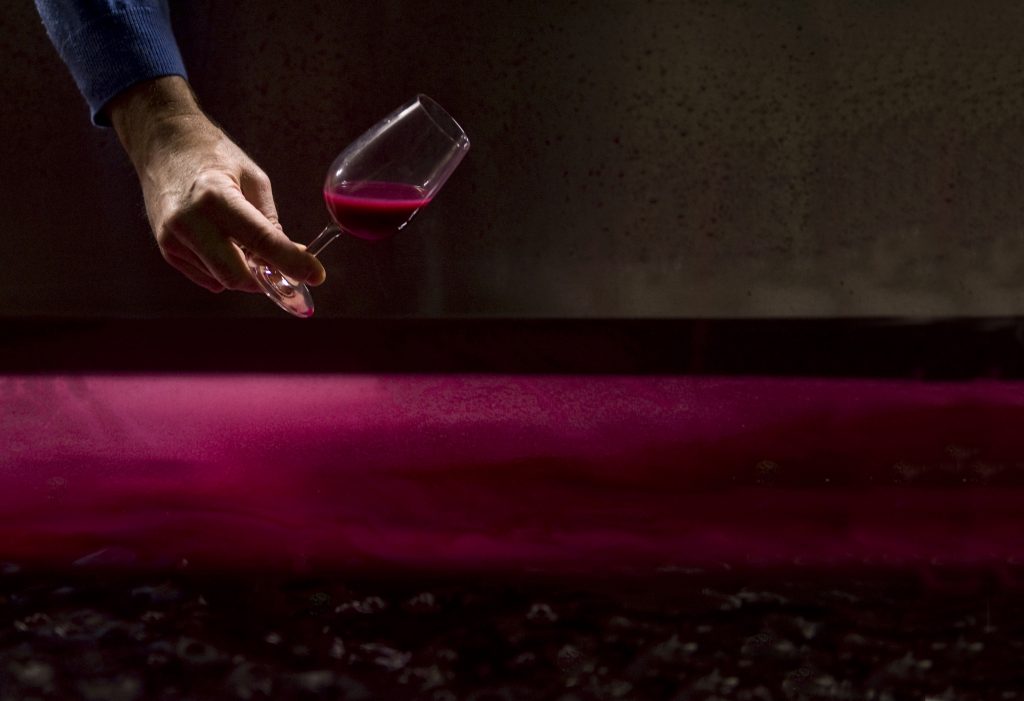 Gallery: Winemaking by Jon Wyand