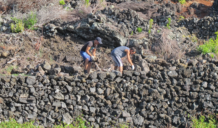 The volcanic wines of the Azores