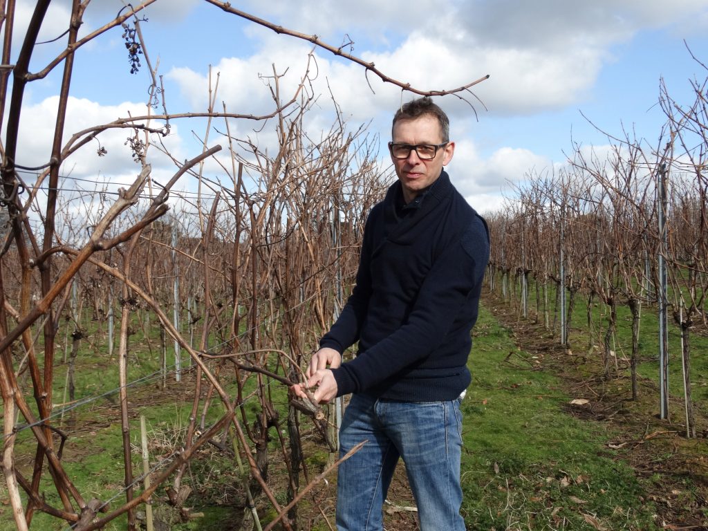 An unexpected celebration of English wine