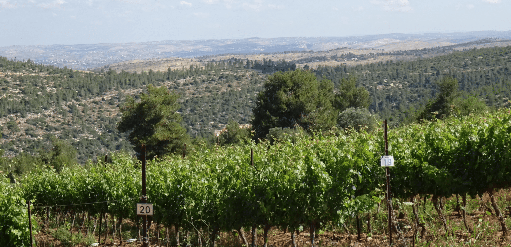 Israel, the most southern Mediterranean country