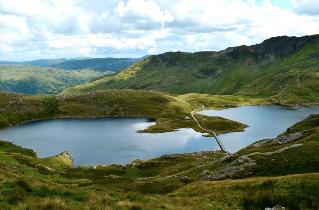 The new world wines of Wales