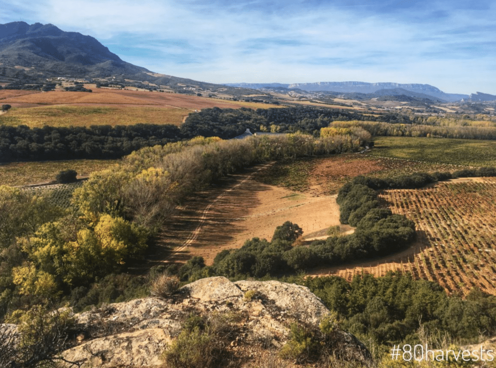 Tasting through the ‘Grandes Pagos’ of Spain