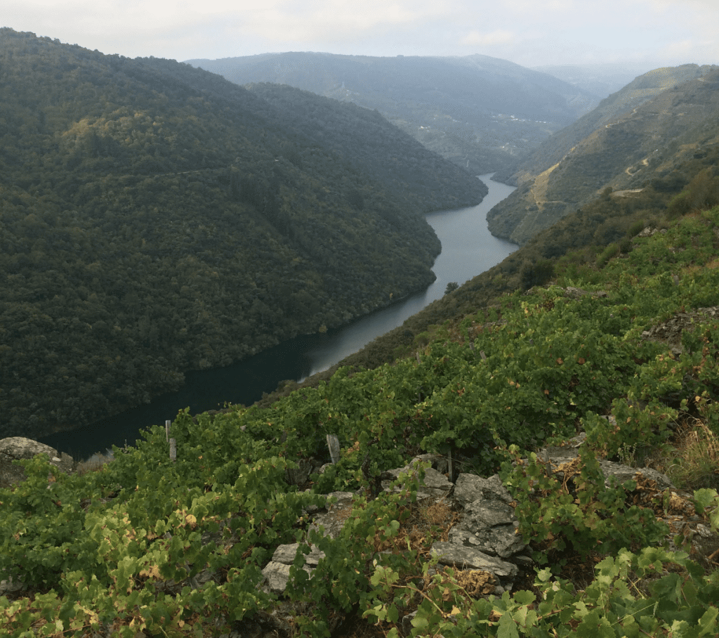 Getting to grips with Galicia’s five wine regions