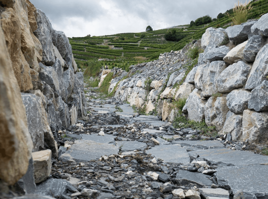 An Alpine retreat into wine: CWW Swiss Trip 2018