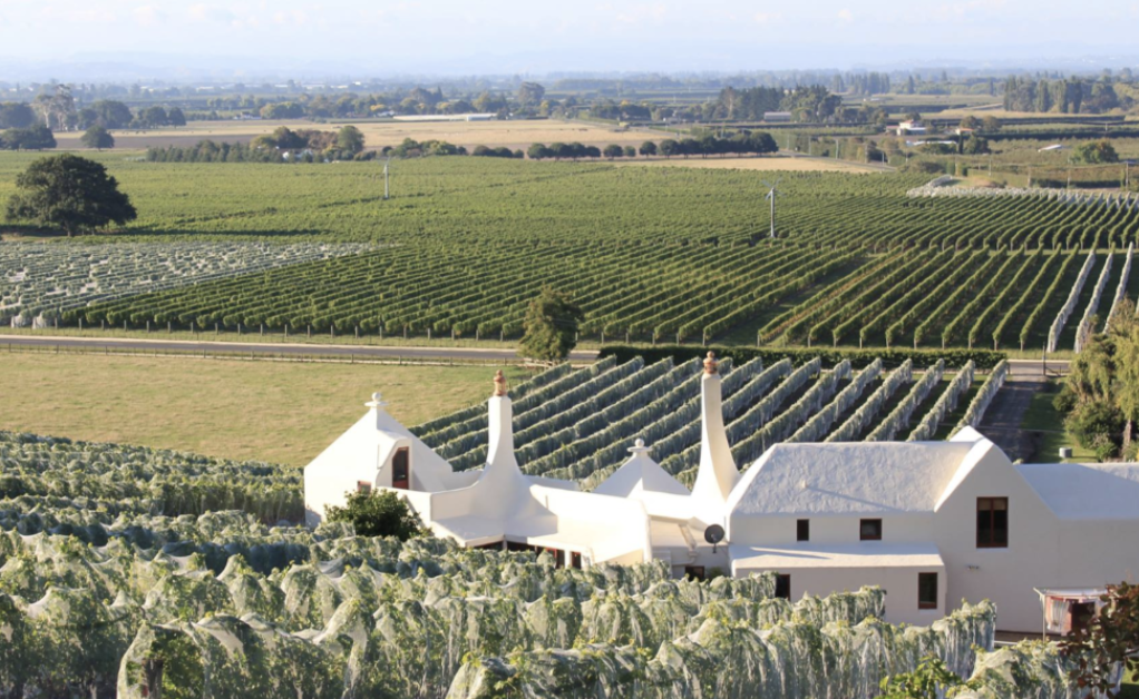 Tasting 34 years of Te Mata Coleraine