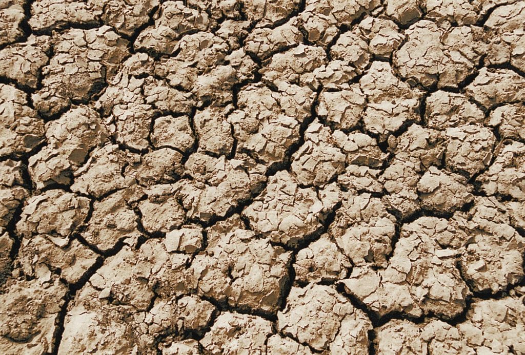 Why terroir?