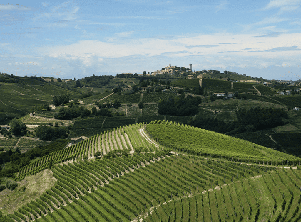 Dry Asti, Barbera, a new DOCG and the Brachetto beyond