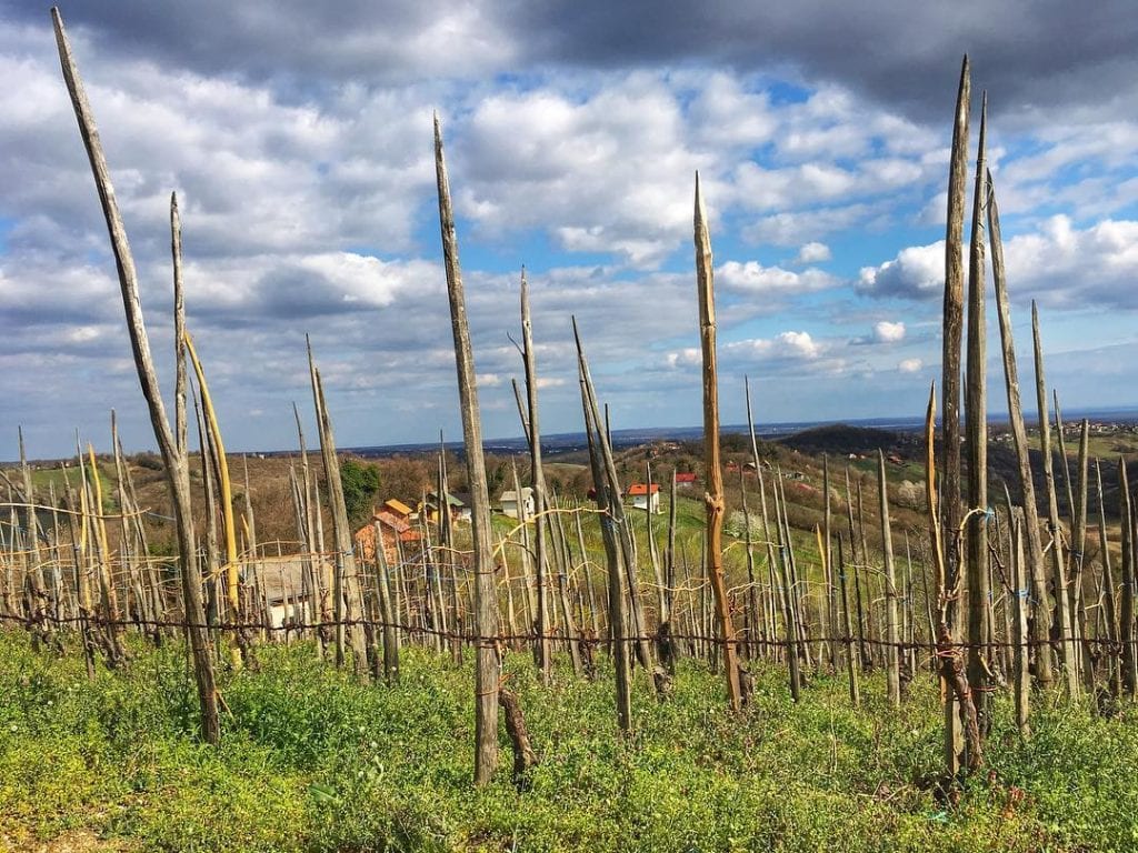 A continental Croatian contrast