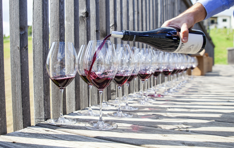 Taking stock of the past century of Austrian wine