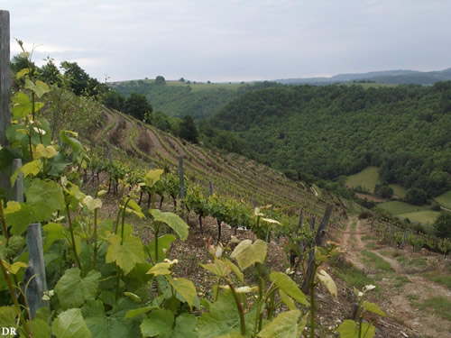 Appreciating Aveyron
