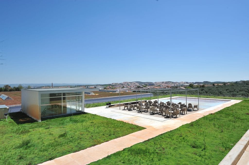 Arid Alentejo comes of age