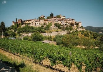 Chianti wine region