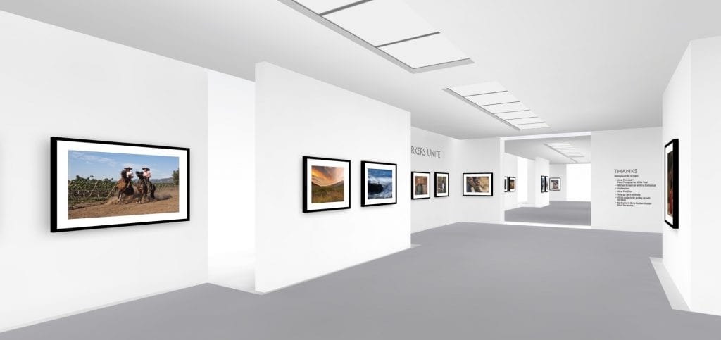 Matt Wilson’s photography goes on exhibition, in 3D