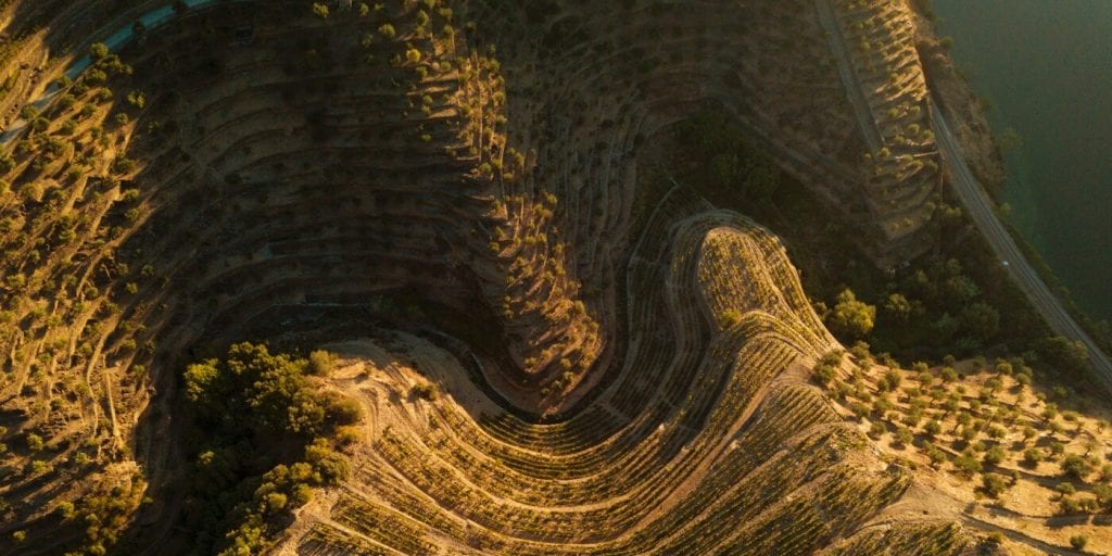 Exploring Quinta da Boavista and the old vines of Douro with Carla Tiago