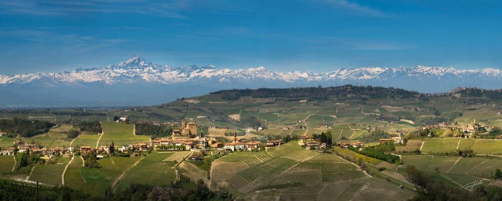 Perusing premium Nebbiolo