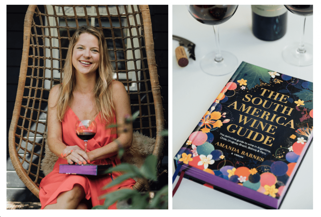 The South America Wine Guide: The definitive guide to the wines of Argentina, Chile, Uruguay, Brazil, Bolivia and Peru by Amanda Barnes published