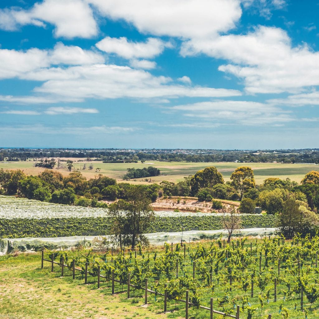 Mornington Peninsula not a million miles away from home