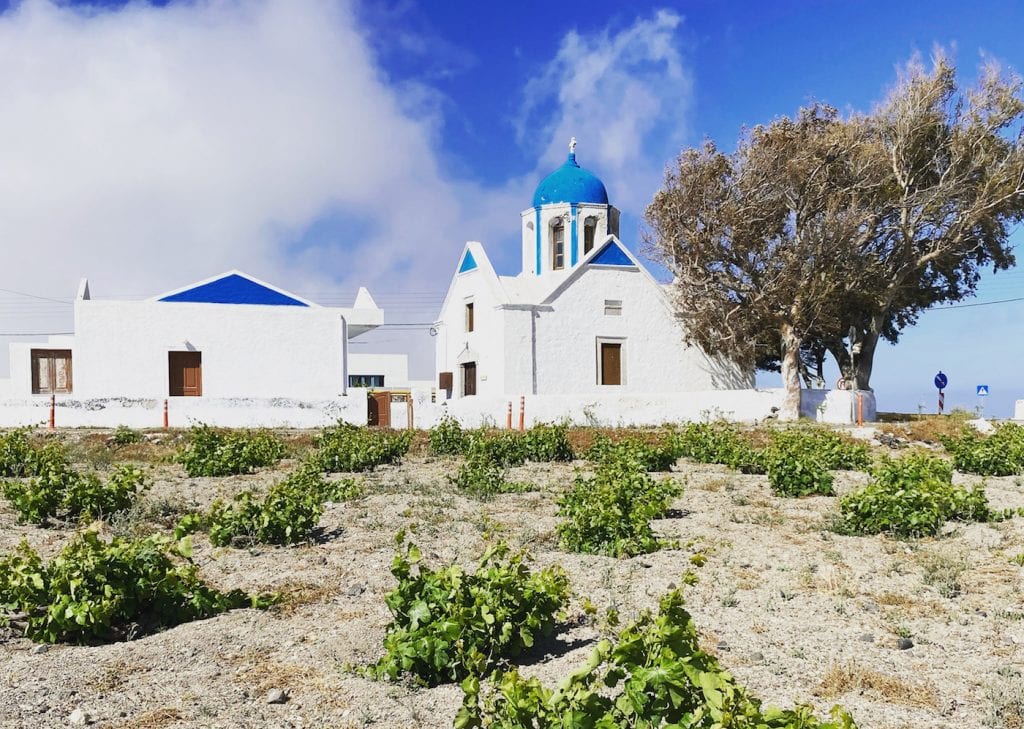 The sensual terroir wines of Santorini