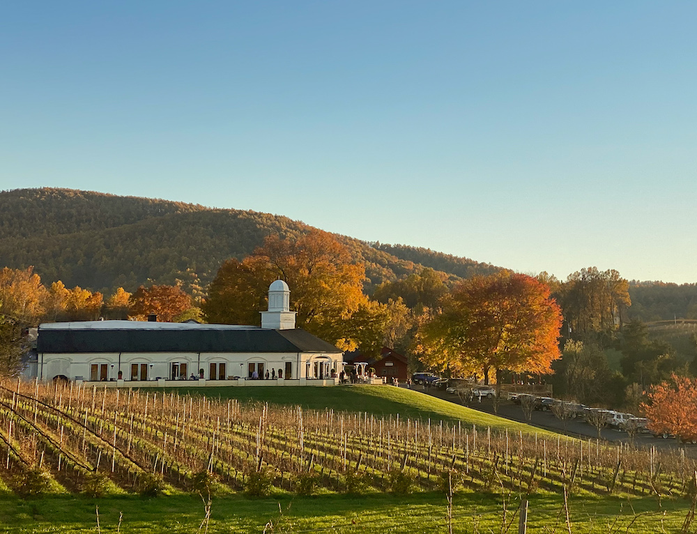 Virginia Gold: the nascent wines of Barboursville Vineyards