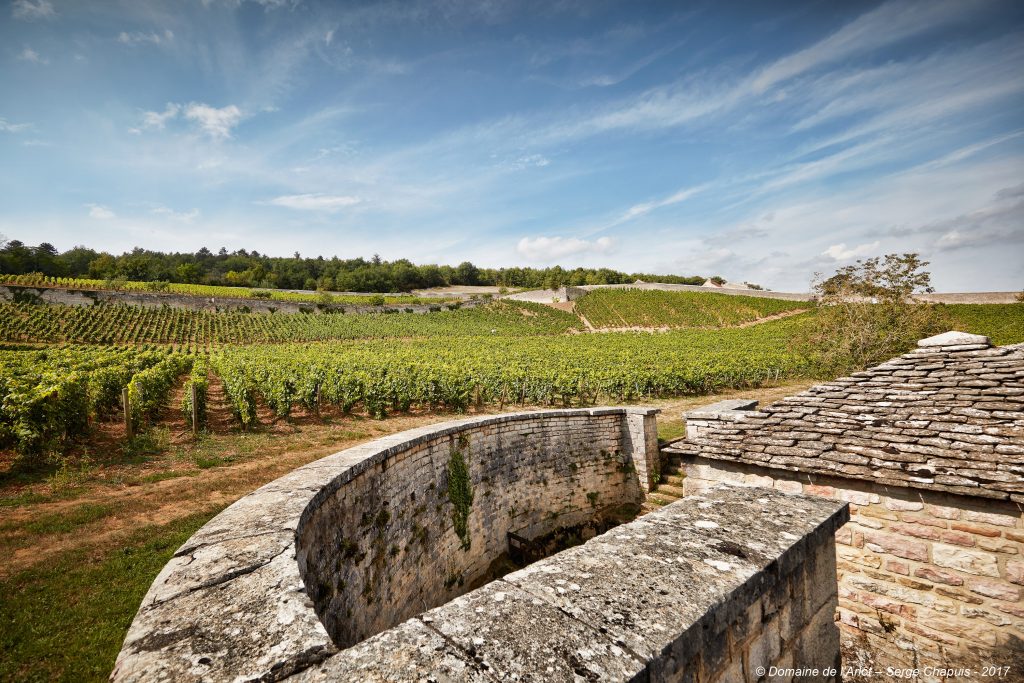 A tale of two French titans: Château Pichon Baron and Domaine De L’Arlot