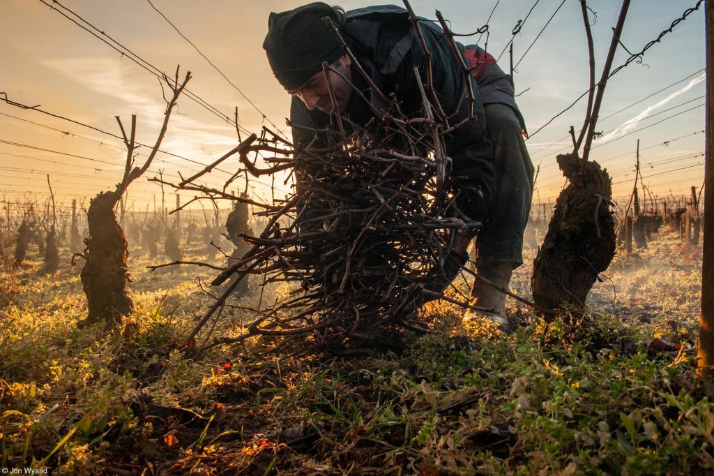 Jon Wyand wins Errazuriz Wine Photographer of the Year 