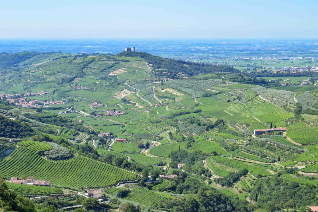 Amarone and the opera