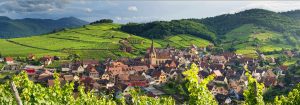 CWW – Let’s talk about Alsace Rocks – Riesling with our host Foulques Aulagnon of the CIVA