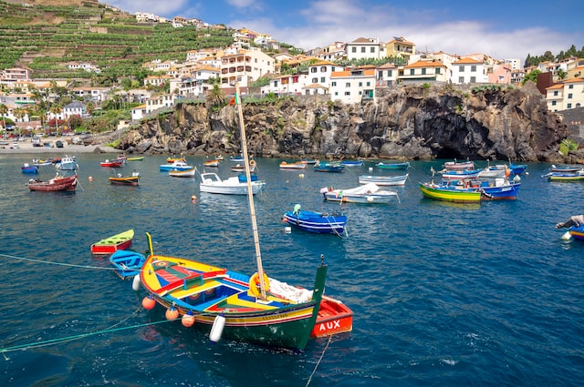 The future of Madeira wine