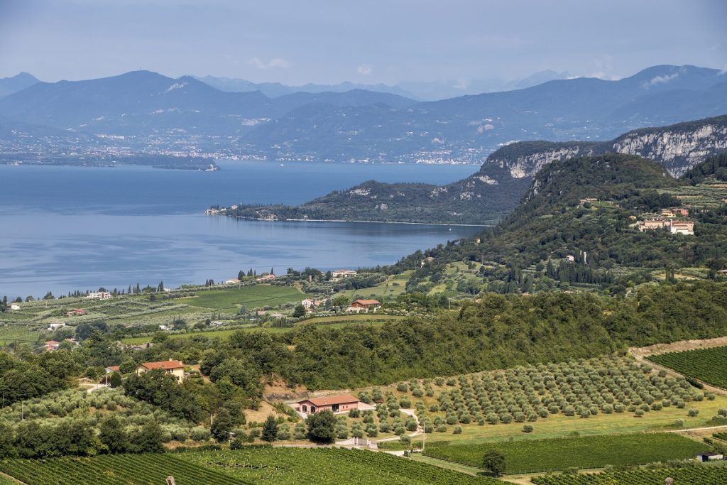 Wines of the lake and the mountains