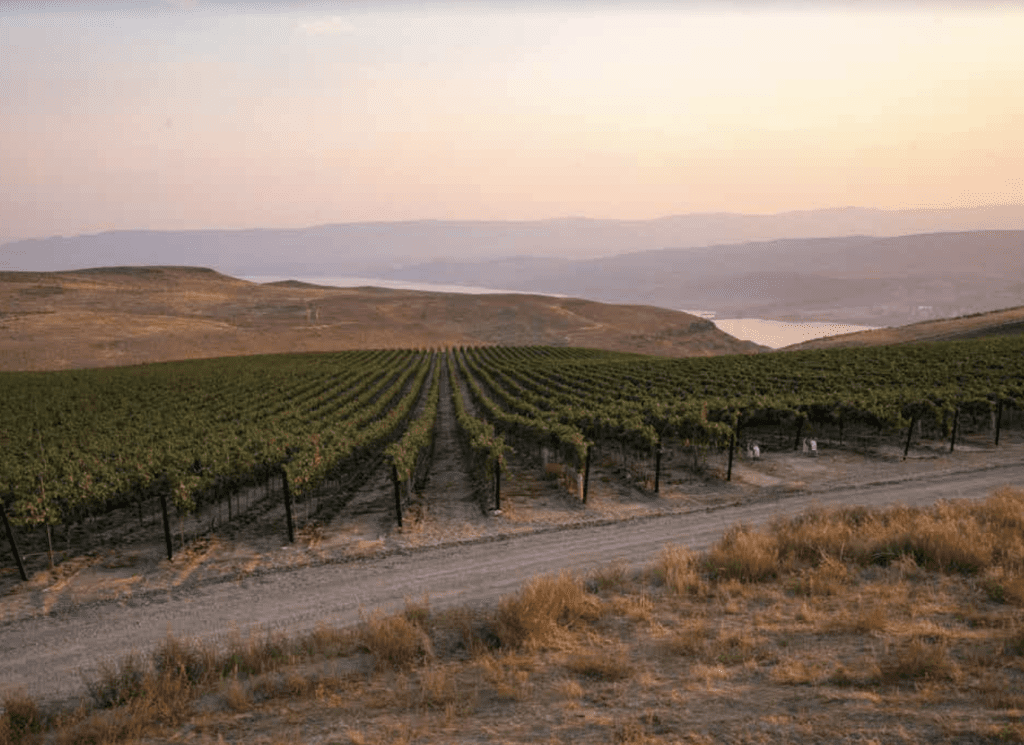 The Promise’ Pinot Noir, made for the people