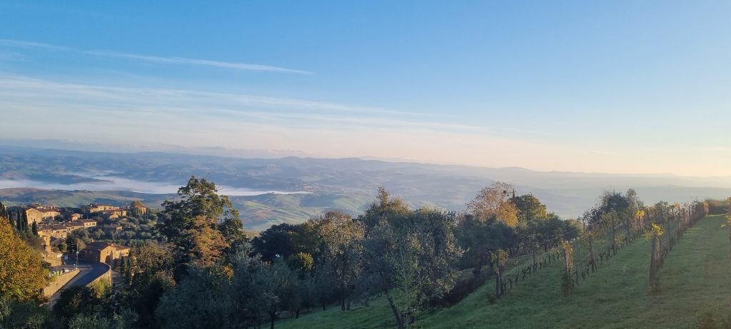 Benvenuto Brunello