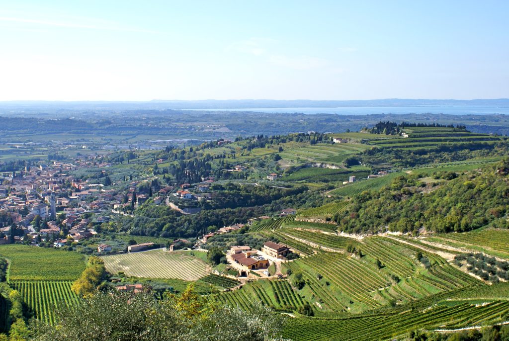 Awe-inspiring Amarone
