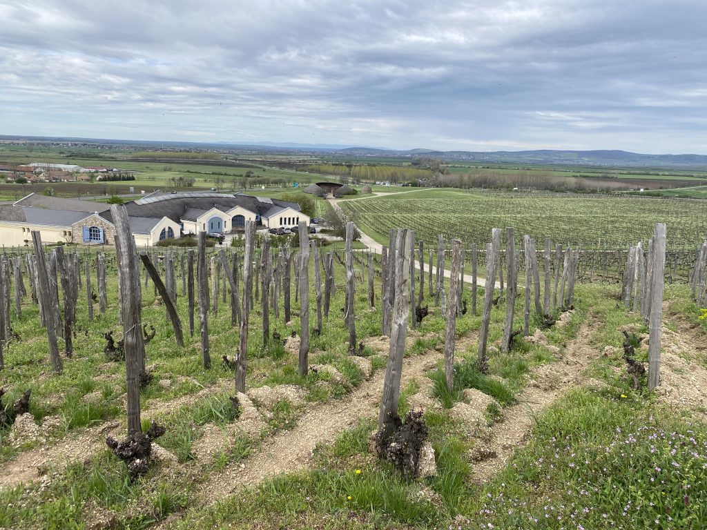 Tasting through Tokaj