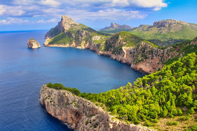 Mallorca makes strides in reviving indigenous varieties