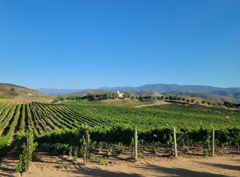 Spectacular Temecula can do good wine too