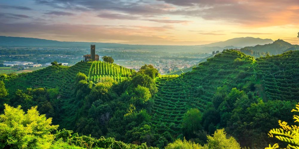 Prosecco: what’s in a name? - Circle of Wine Writers