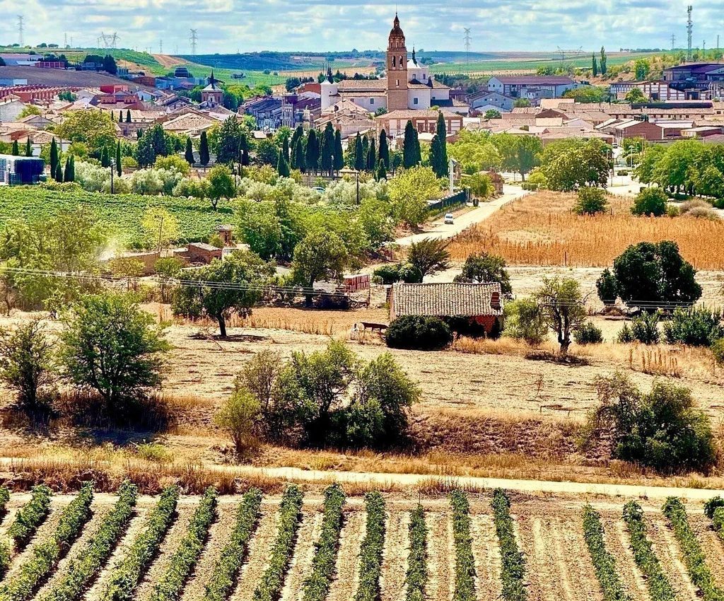 Identity theft and loss in the Spanish wine world