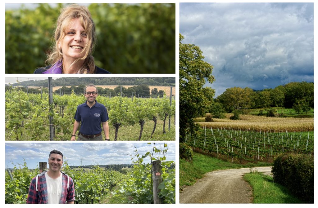 Hampshire wine through the eyes of its adopted winemakers