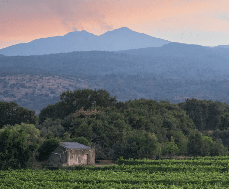 The Mythology of Etna